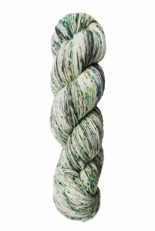 Araucania Huasco Sock Hand Painted