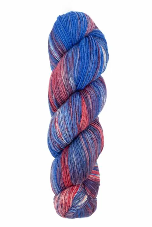 Araucania Huasco Sock Hand Painted