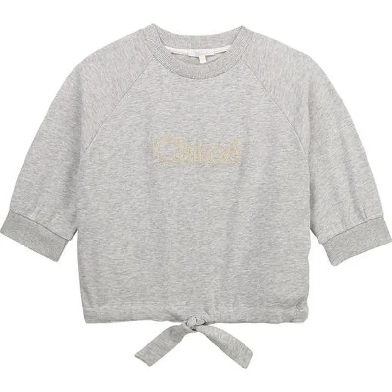 Girls Grey Cropped Logo Sweatshirt