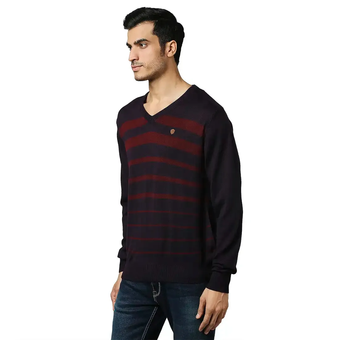 Men Violet Stripe Acrylic Wool Blend Full Sleeve V Neck Collar Sweaters