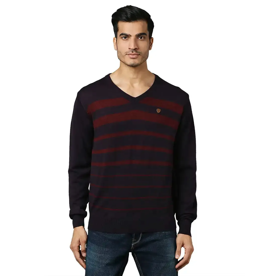 Men Violet Stripe Acrylic Wool Blend Full Sleeve V Neck Collar Sweaters