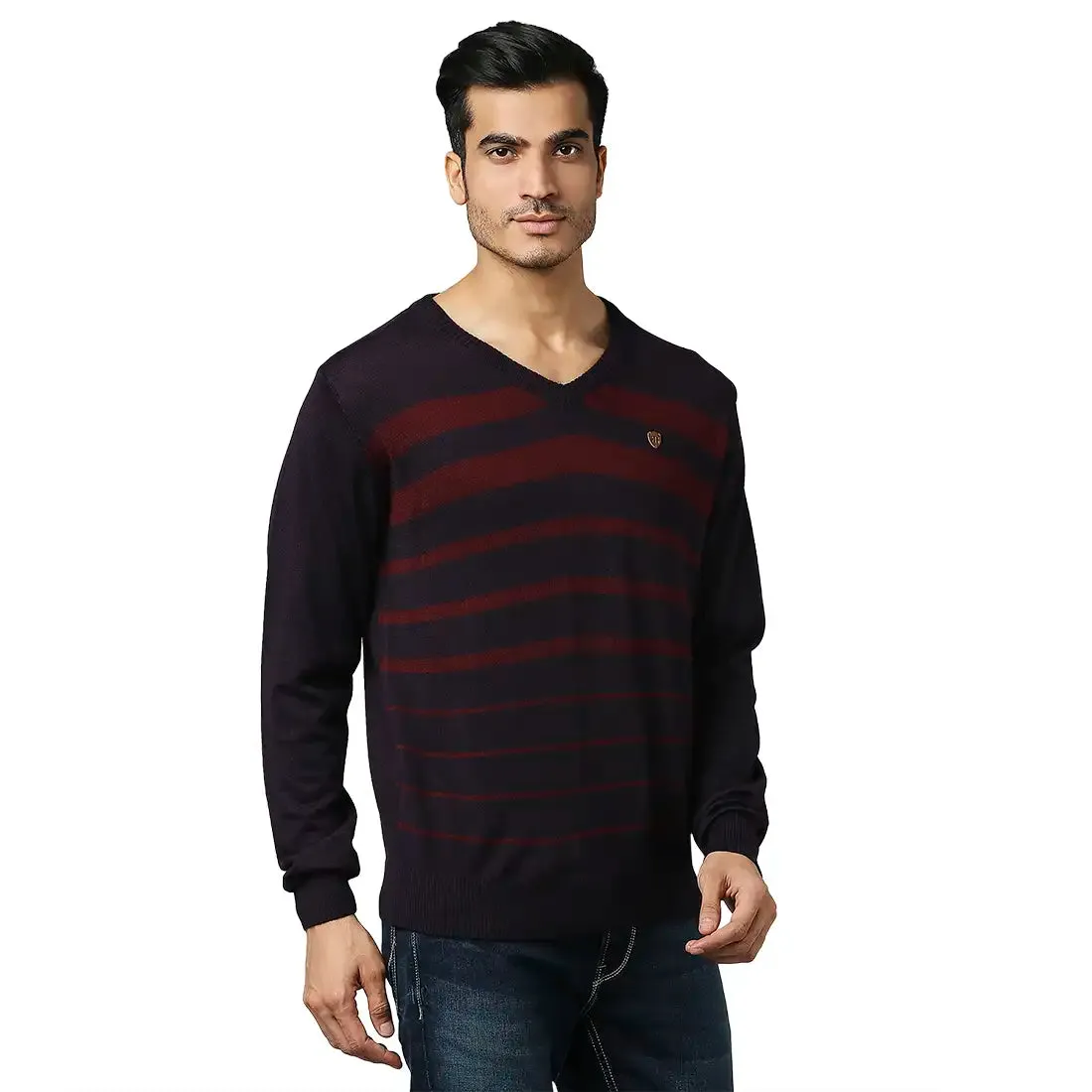 Men Violet Stripe Acrylic Wool Blend Full Sleeve V Neck Collar Sweaters