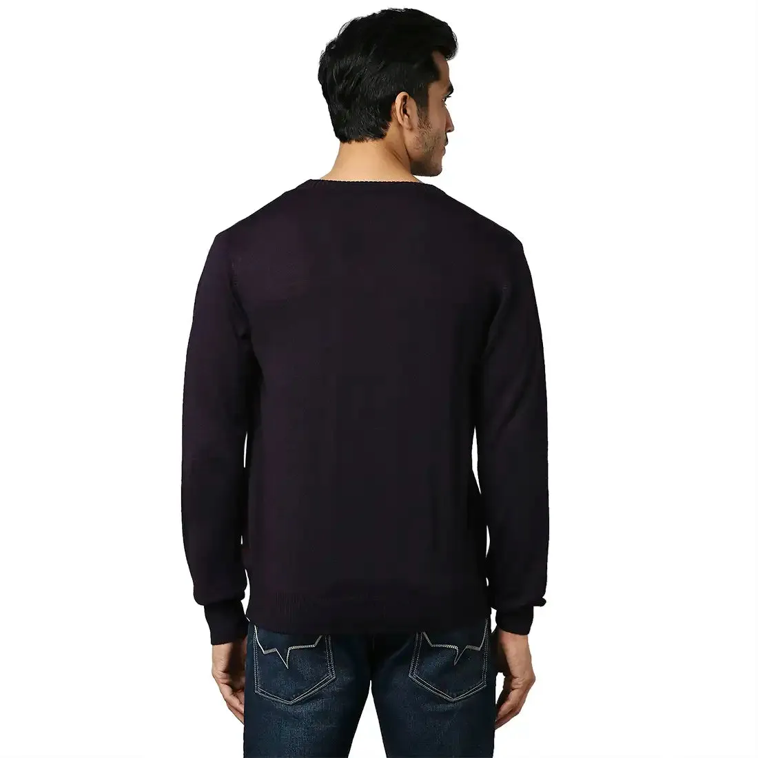 Men Violet Stripe Acrylic Wool Blend Full Sleeve V Neck Collar Sweaters